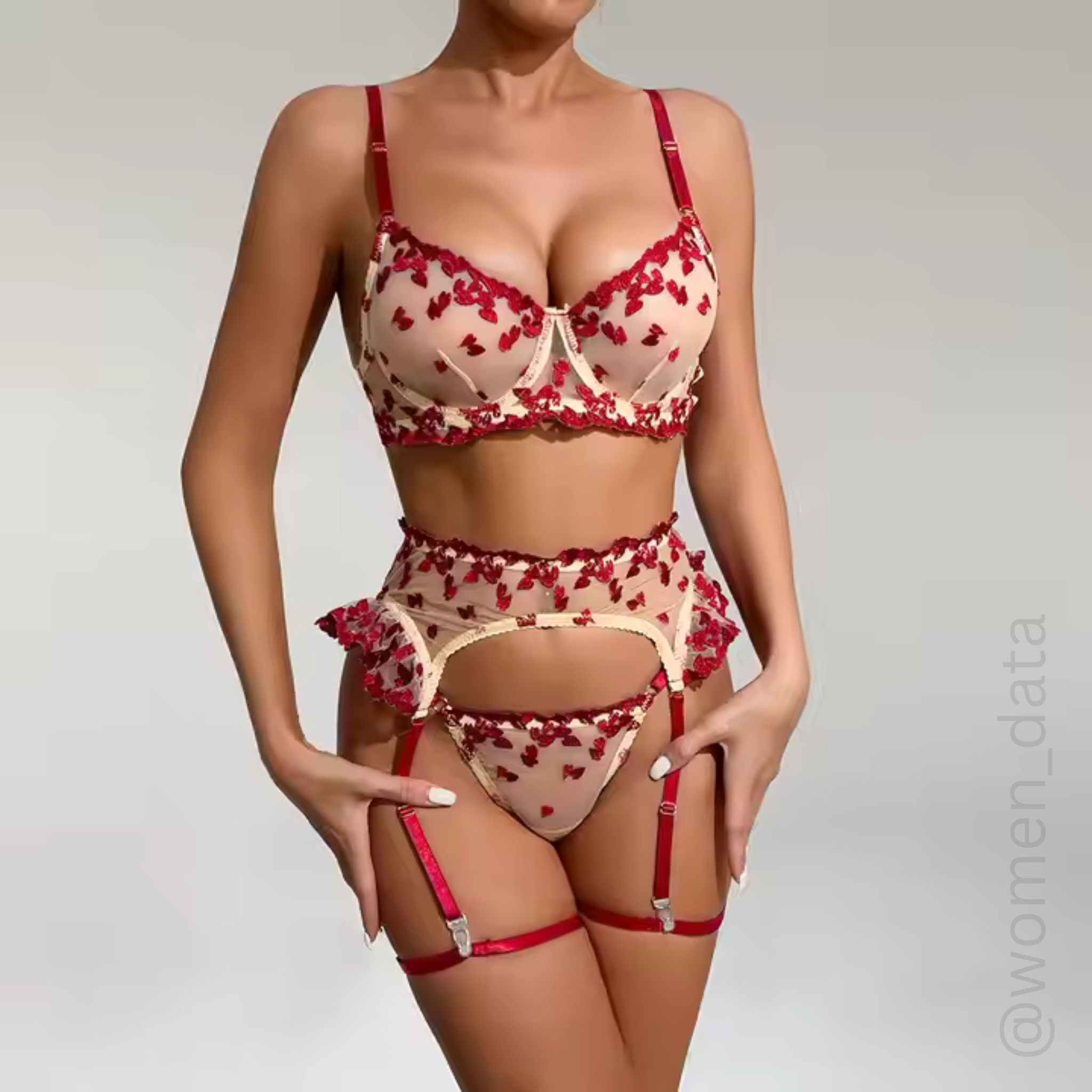 Red Heart Embroidered Lingerie Set