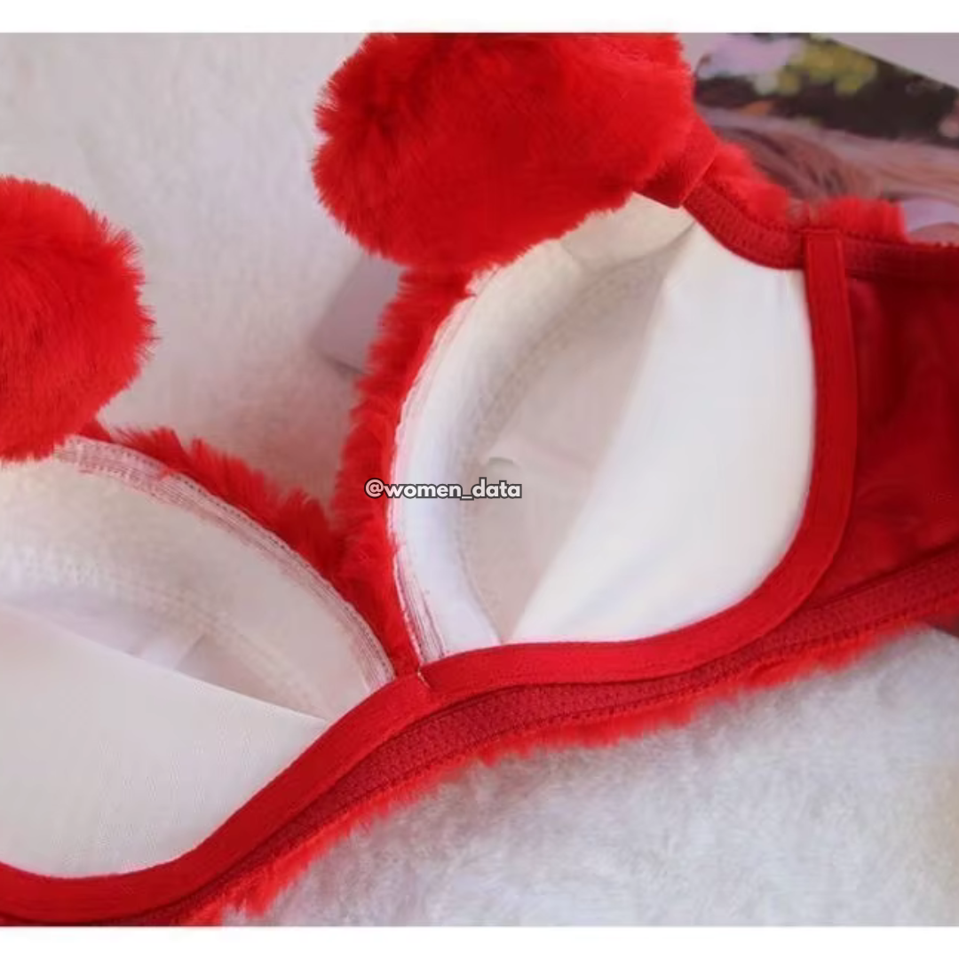 Women’s Winter Fluffy Bear Bra Panty Set