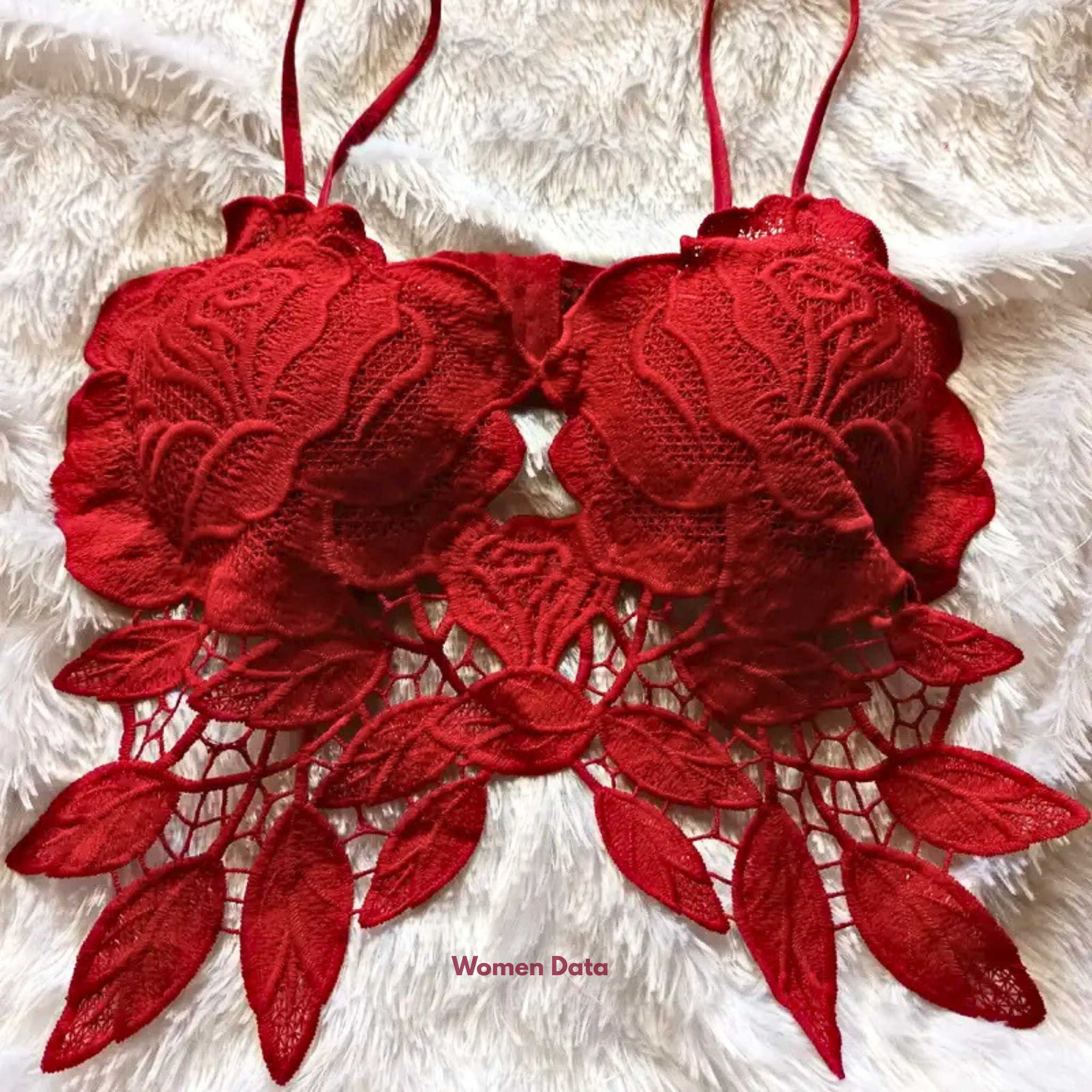 Women_sSexyLaceCorsetBra