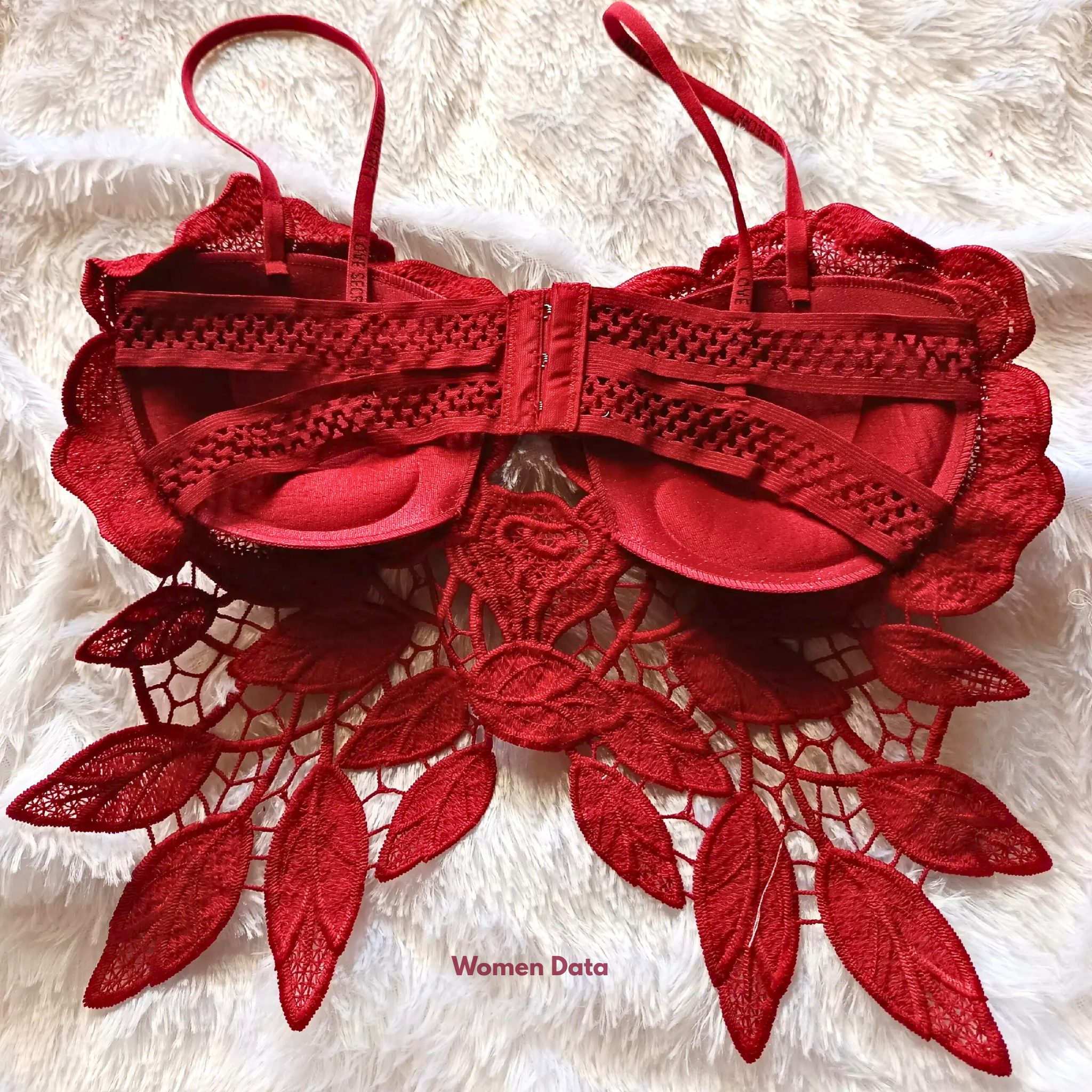 Women_sSexyLaceCorsetBra