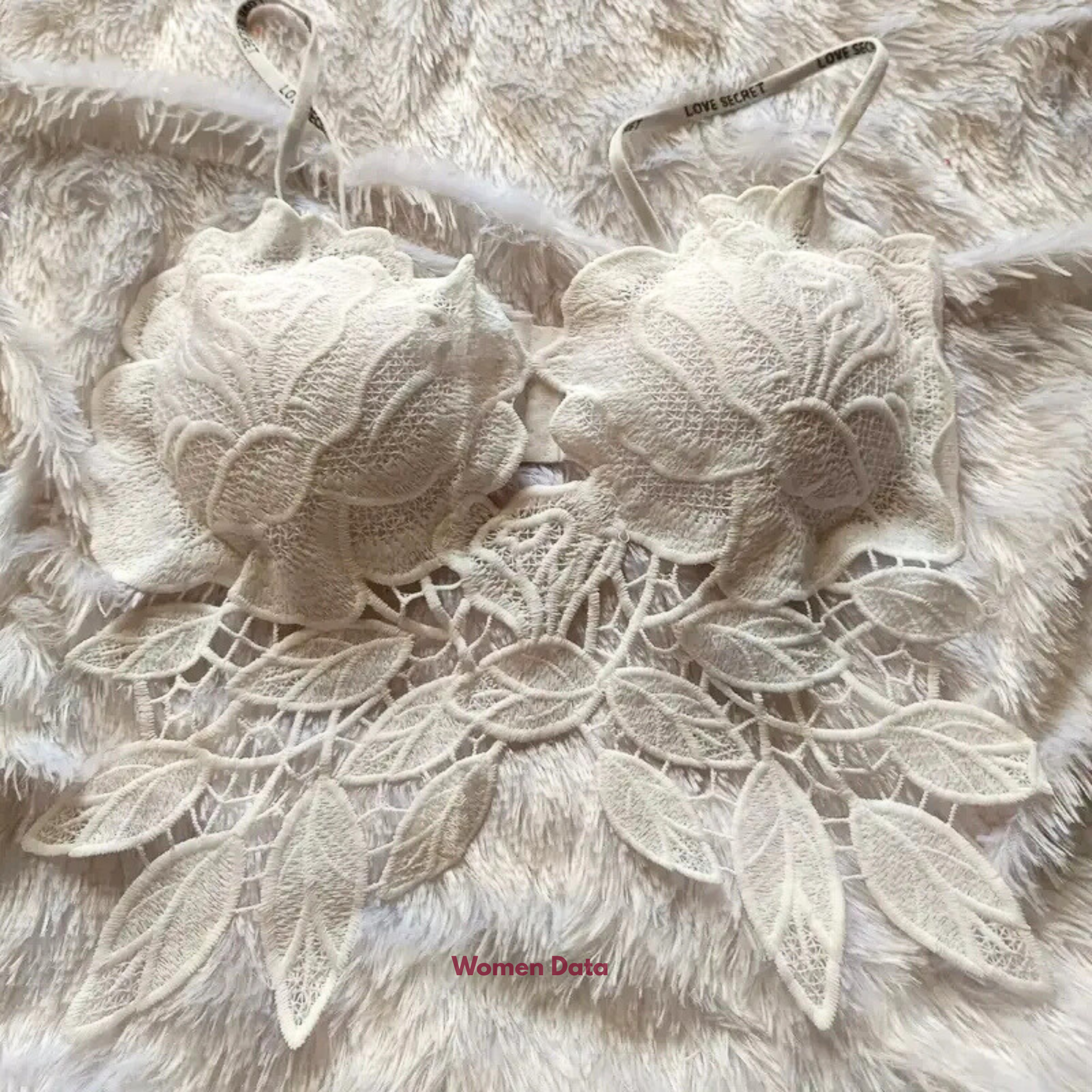 Women_sSexyLaceCorsetBra