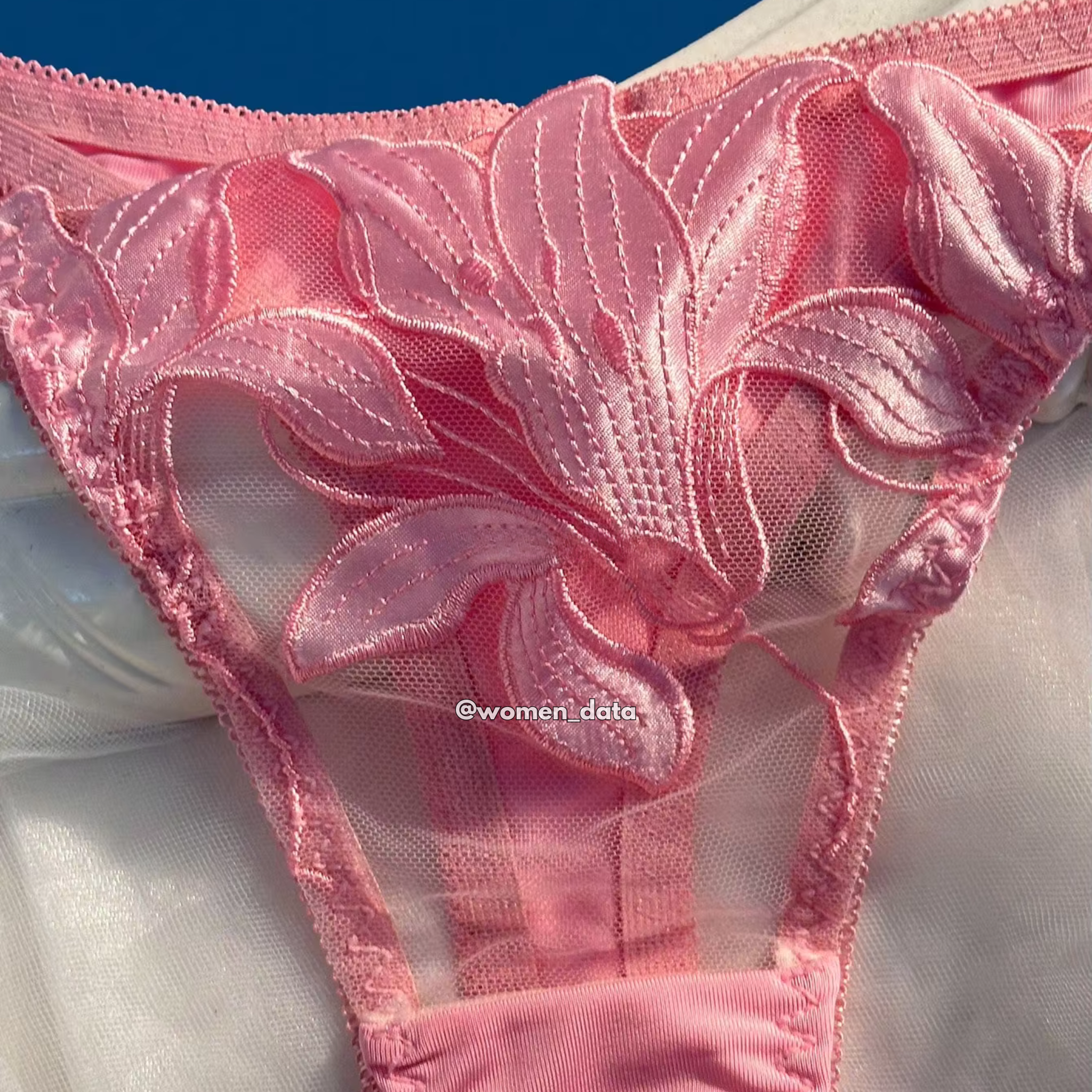 Sexy Floral Embroidered Bra & Panty Set