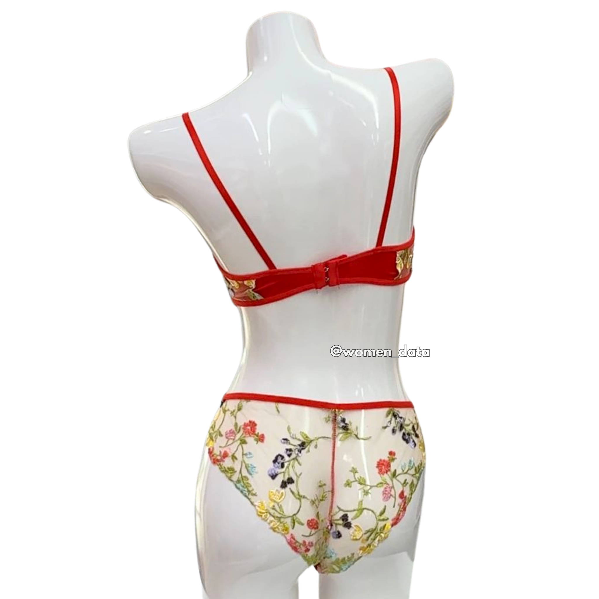 Sexy Embroidered Lace Bra & Panty Set