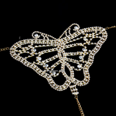 Crystal Bikini & Diamond Bra 