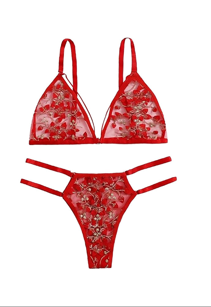 Elegant Embroidered Net Bra Panty Set – Stylish
