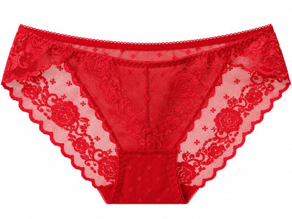 Floral Lace Panty for Women | Sheer Lace Briefs 