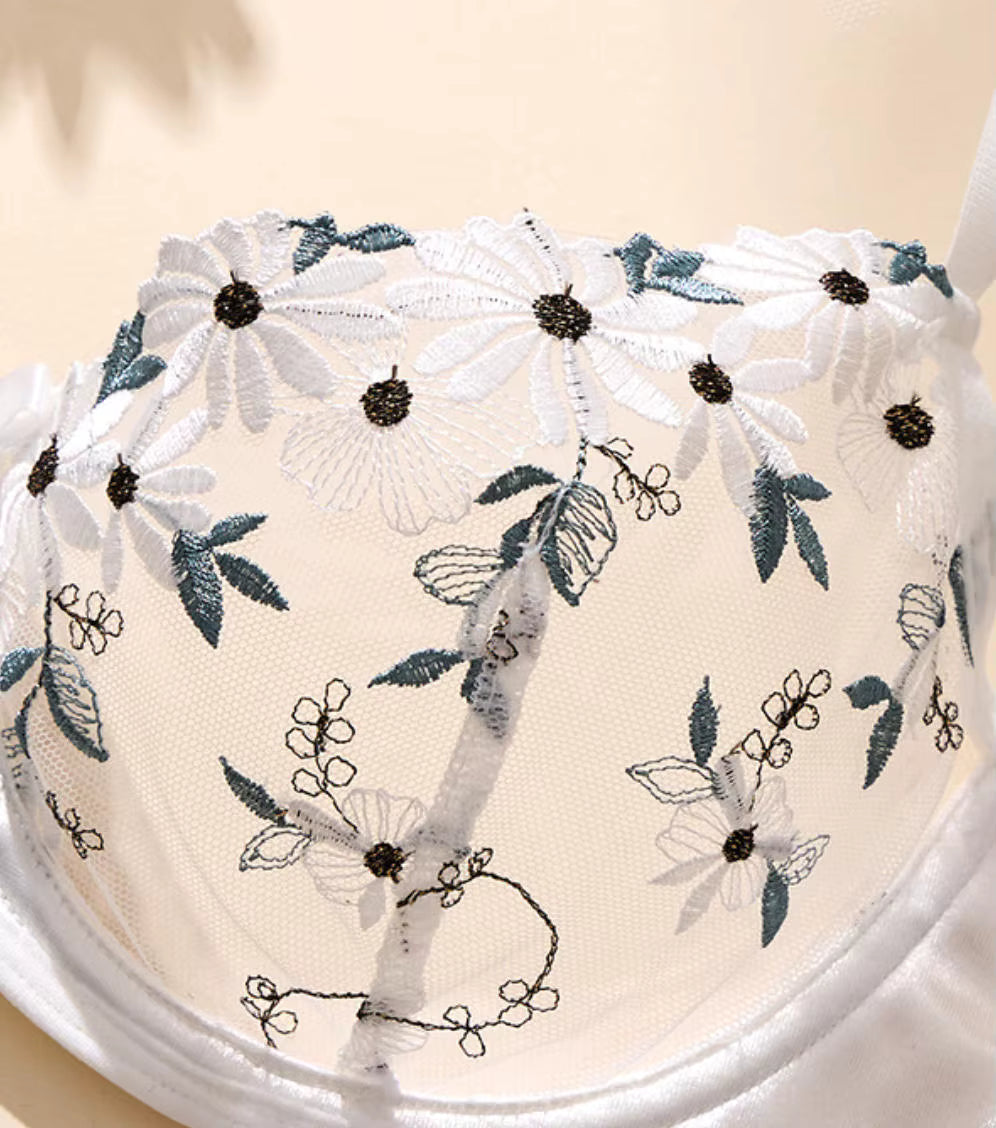 White Embroidered Mesh Bra &amp; Thong Lingerie Set