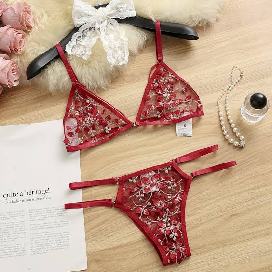 Elegant Embroidered Net Bra Panty Set – Stylish