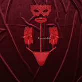 Red Lace Strappy Erotic Lingerie Set – Choker, Cuffs & G-String for Women 