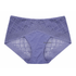 Panty 