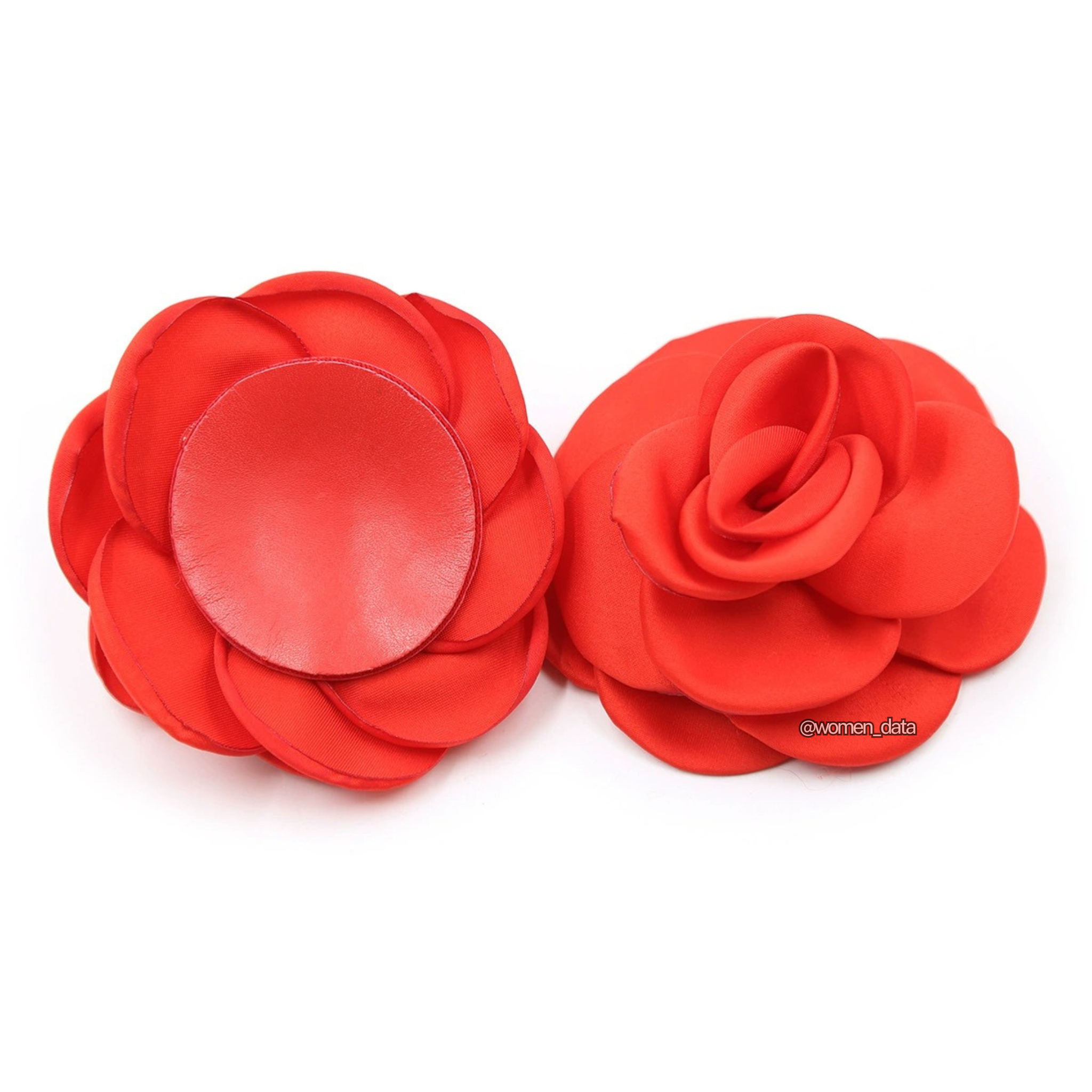 Fancy Accessories 