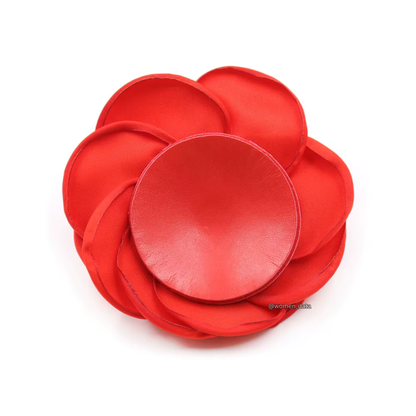 Fancy Accessories 