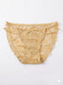 Rose Print Net Fabric Lace Panty 