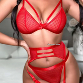 Seductive Mesh Lingerie Set 