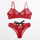 Mesh Bra & Panty Set  