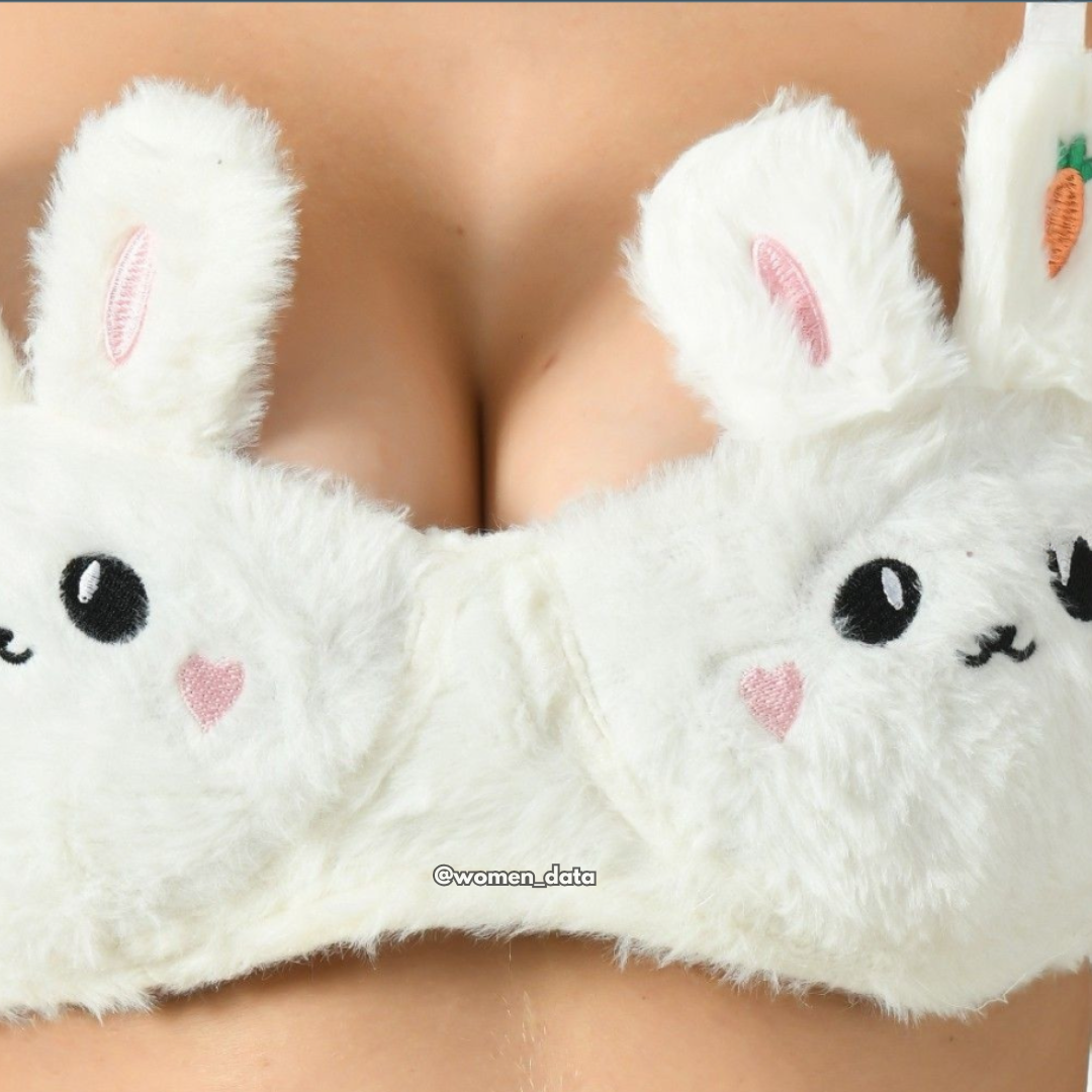 Women’s Winter Bunny Fur Bra Panty Set 
