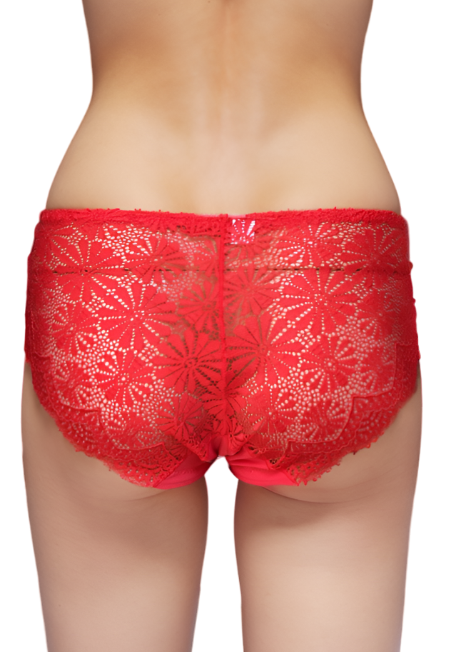 Fancy panty for women