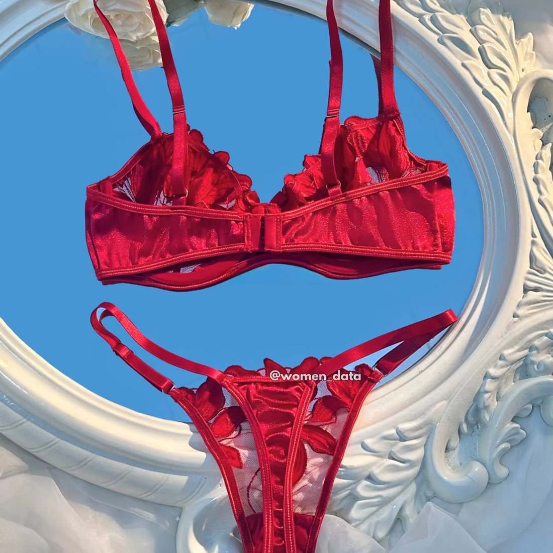 Sexy Floral Embroidered Bra &amp; Panty Set 