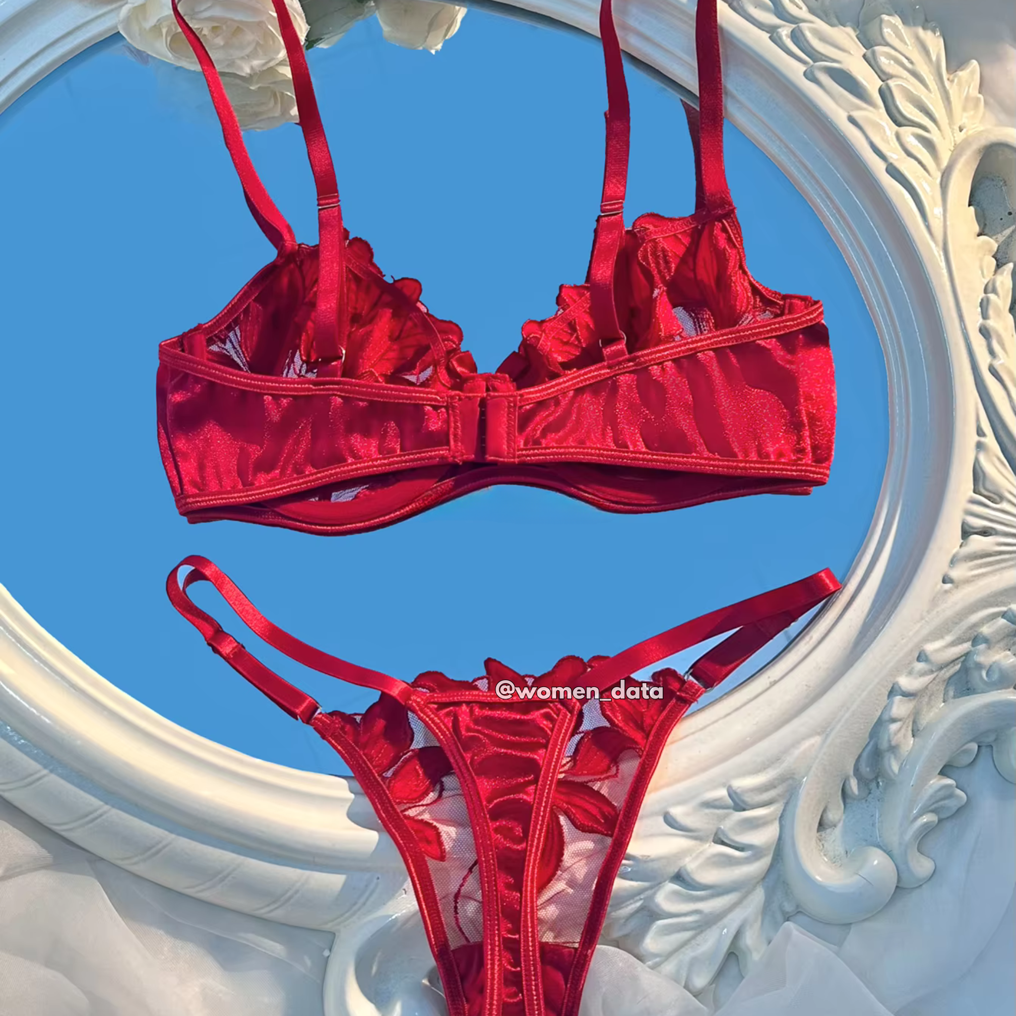 Sexy Floral Embroidered Bra &amp; Panty Set 