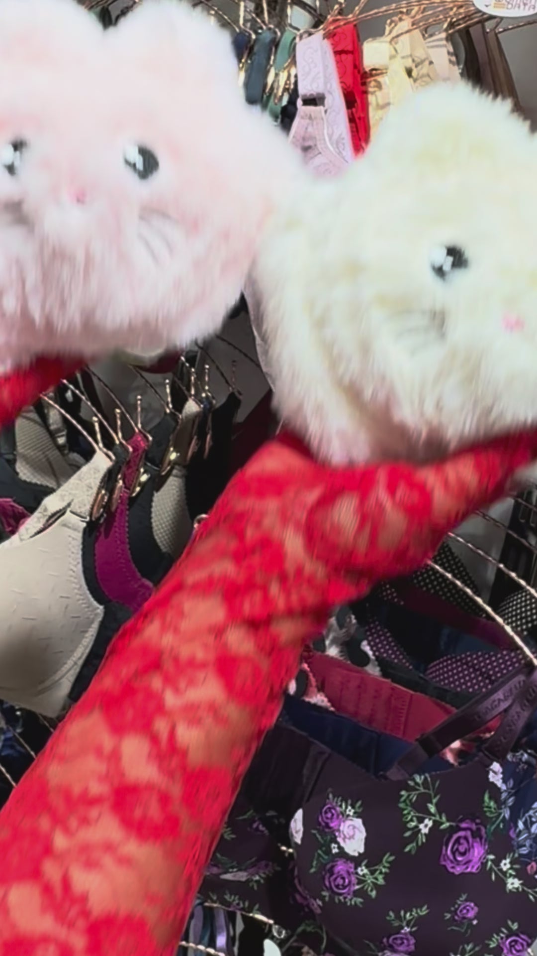 teddybrapantysets #generic_image