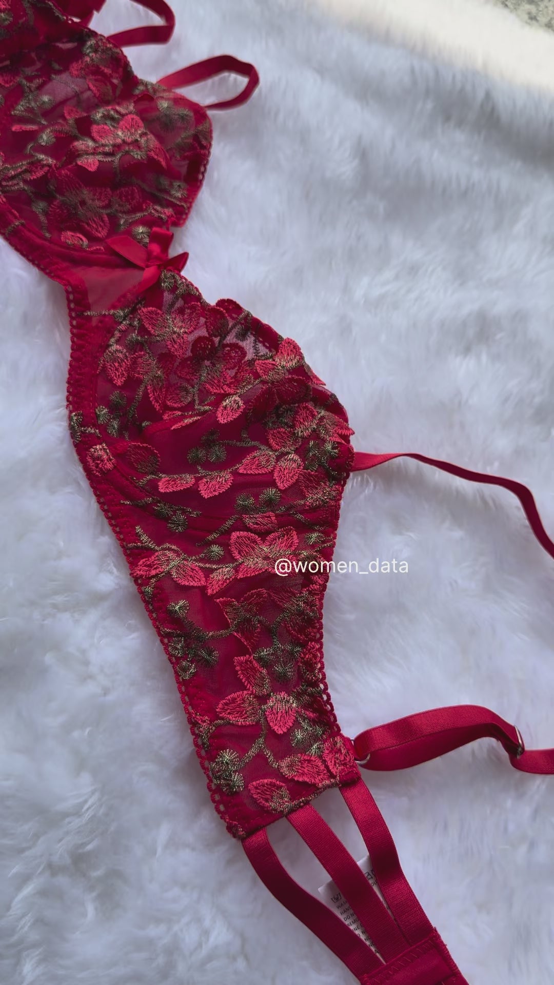 Luxury Red Floral Embroidered Lingerie Set for Women – Underwire Bra &amp; Matching Thong