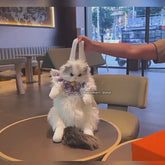 Kawaii Cat Plush Backpack with Accessories 