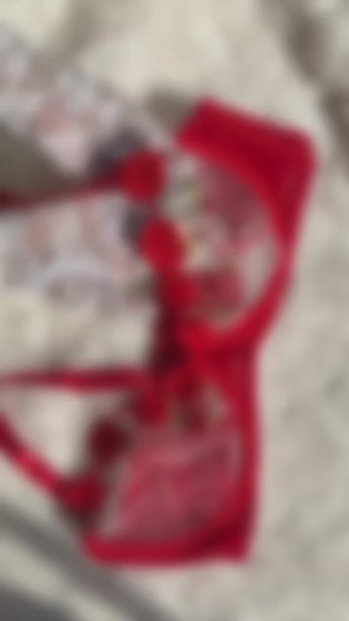 Red Floral Embroidered 