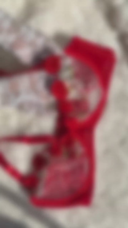 Red Floral Embroidered 