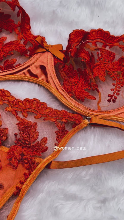 Amber Desire Orange Embroidered Lace Bra &amp; Thong Set