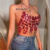 Fancy Accessories 